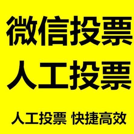 嘉义县投票活动拉票能被查出来吗？如何操作能不被发现？